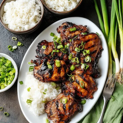 Grilled teriyaki chicken thighs with green onions and rice